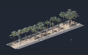 Effecting a tree survey 